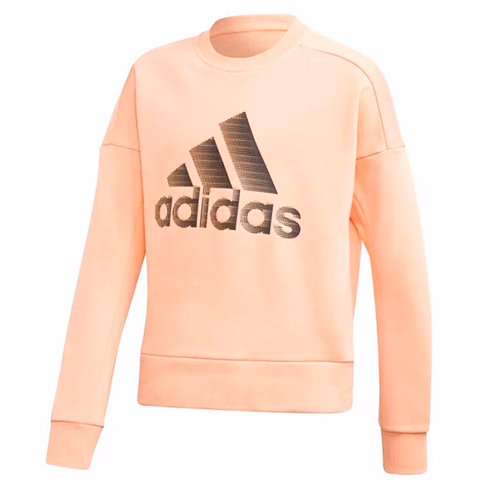 Hanorac Adidas YG ID HLDCREW